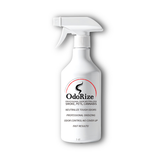 Odorize Odor Eliminator & Disinfectant Spray – Case