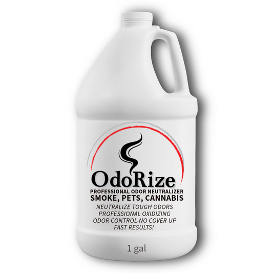 Odorize Odor Eliminator & Disinfectant Spray – Case