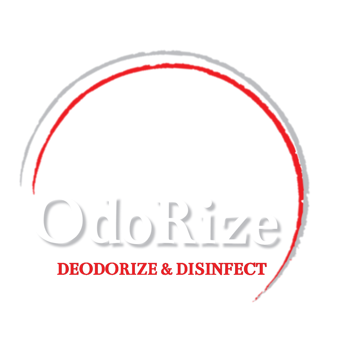Load video: youtube video of Odorize used by a professional detailer to remove cigarette, weed, and pet odor.