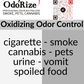 Odorize Professional Odor Eliminator Quart