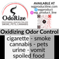 Odorize Professional Odor Eliminator Quart